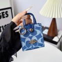 Coach コーチハイブランドairpods pro3 4 3 2ケースairpods 3 4 pro2 pro3ケースハイブランドコピーエアーポッズ プロ3 4 3 pro2ケースブランドレディースハイブランドエアーポッズプロ3 3 4ケースジャケット