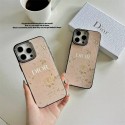 Dior ディオール人気アイフォン17pro max/16 15 proケースiphone15 plus14 16 17pro max 16eケースブランドコピーメンズDiorアイフォン16e 15/14/13/ 12 pro maxケースパロディーハイブランドアイフォン17 16 15 14  16eケーストランク型