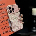 Dior ディオールハイブランドiphone16pro/17 15plusカバー人気アイフォン17pro max/16 15 proケースアイフォン17 pro 16e 15/14/13/ 12 pro maxケースパロディーハイブランドアイフォン17 air 16 15 14 ケーストランク型