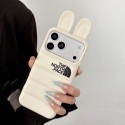 ザノースフェイス THE NORTH FACE iphone air 17 pro max 14 16 pro 15 plus 16eケースブランドカード入れハイブランドiphone 17/16pro/17e 15plusカバー韓国風iphone 16/14/13/15/ airケースレディース斜め掛けアイフォン17 pro 16e 15/14/13/ 12 pro maxケースパロディー